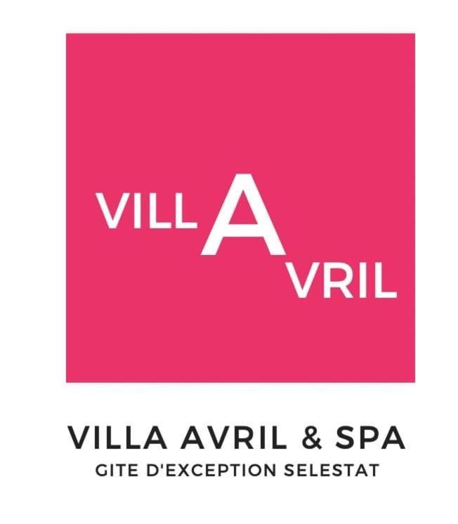 Gite Villa Avril Piscine- Jacuzzi- Sauna - 15 Pers-Proche Europapark Selestat Luaran gambar